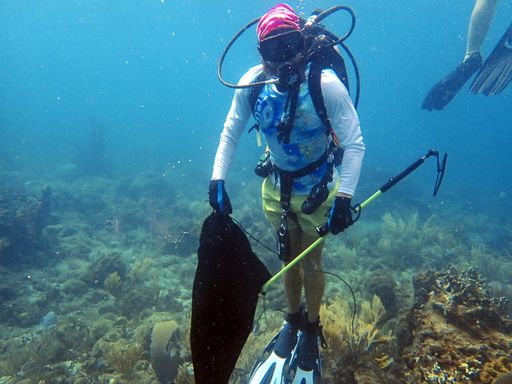 Dive Travel Fitness